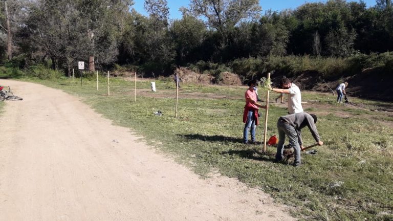 WhatsApp Image 2021-04-04 at 11.14