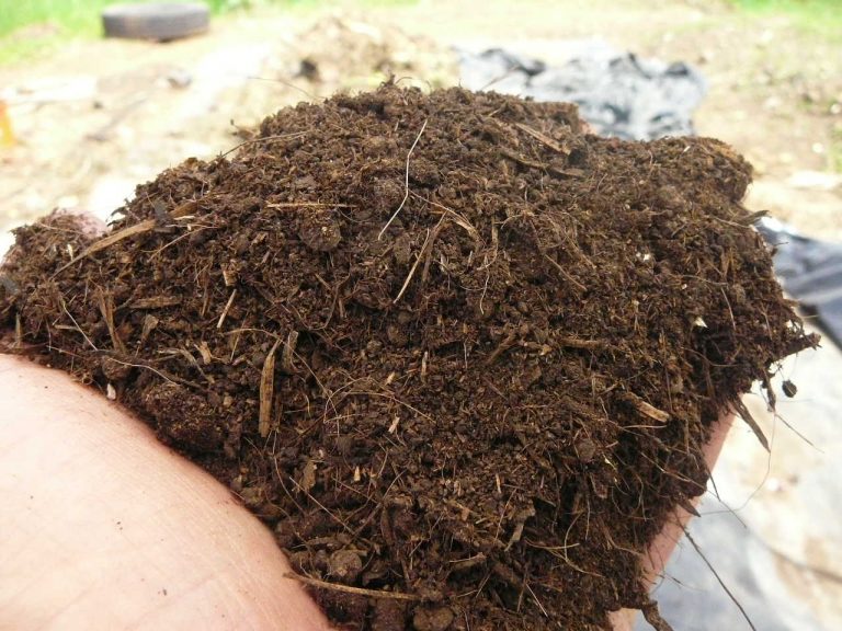 compost