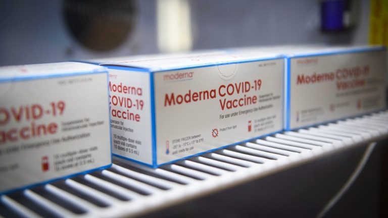 moderna vacuna
