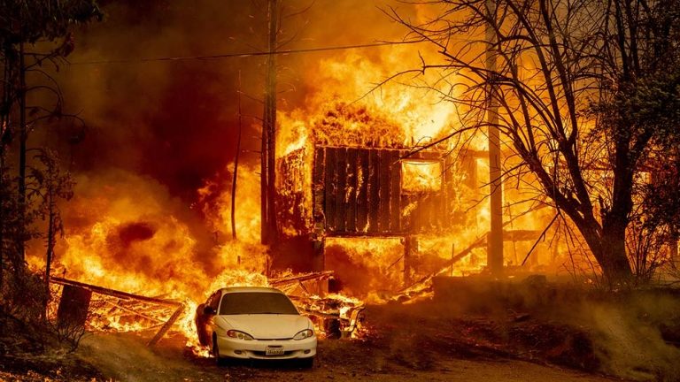 incendios forestales