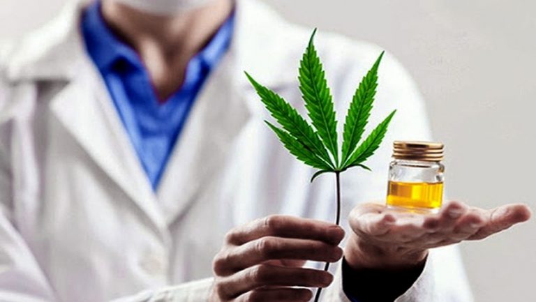 cannabis medicinal