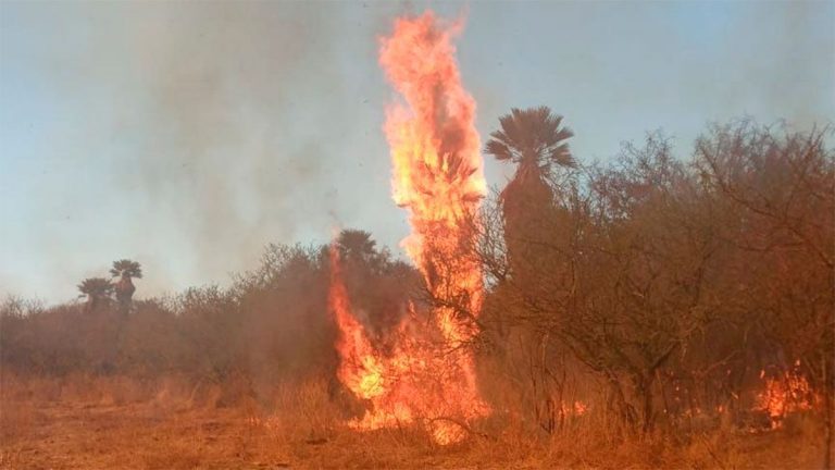 incendio hoy
