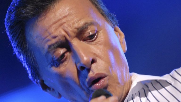palito ortega