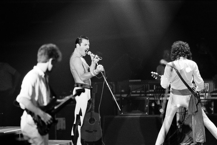 FREDDIE