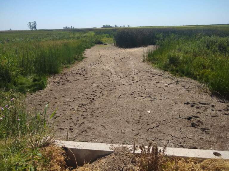 WhatsApp Image 2022-01-06 at 20.50