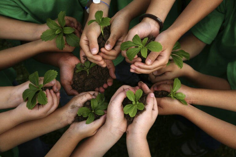 educacion-ambiental-niños-copia