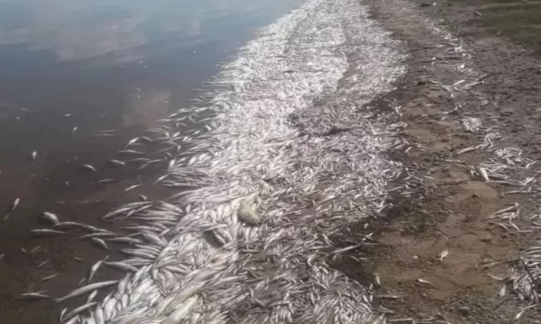 multimedia.normal.8492013280927200