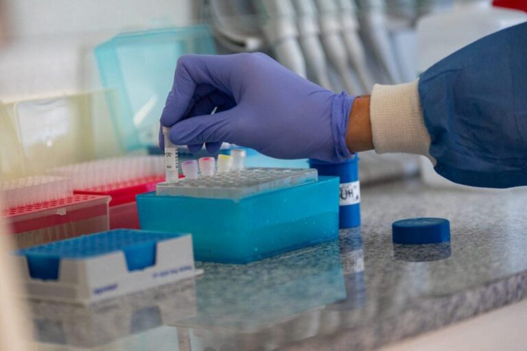 multimedia.normal.ad8e3291ba443e6f