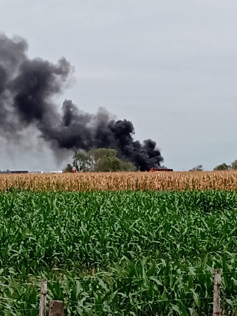 WhatsApp Image 2022-02-04 at 14.23