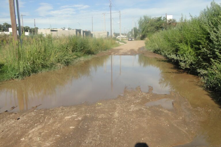 WhatsApp Image 2022-02-09 at 08.40