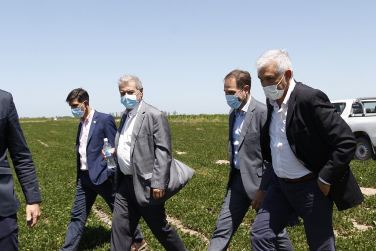 WhatsApp Image 2022-02-17 at 16.17