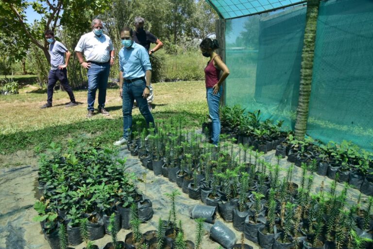 WhatsApp Image 2022-02-20 at 12.24