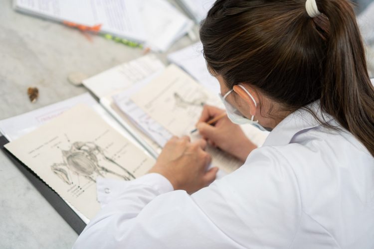 estudiantesUBA-750x500