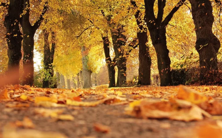 E7JVWQYWTRA67AXUCWWKEXAJEI