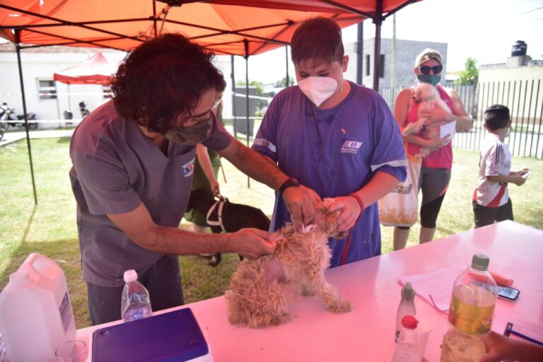 b098f646-dcac-49fd-8b1a-19a9c1911644