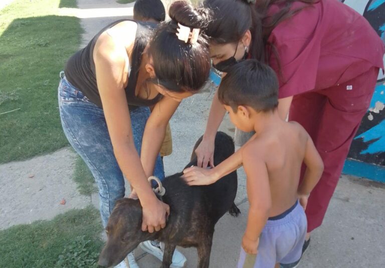 e7dd51db-7984-4e52-86b6-dadb304f5886