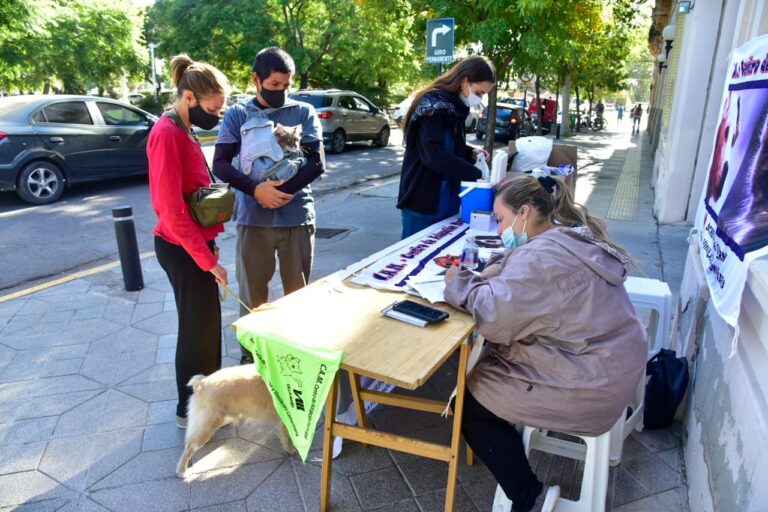 44ba04ed-2f7c-418a-ad5f-5141bc0b4660