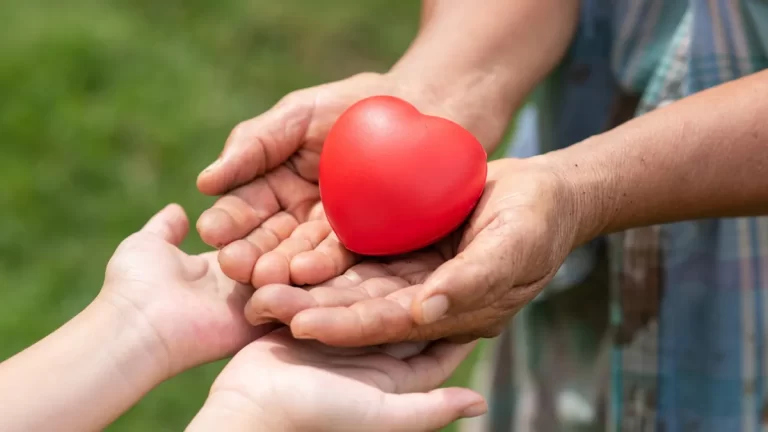 dia-nacional-la-donacion-organos-efemeridesjpg