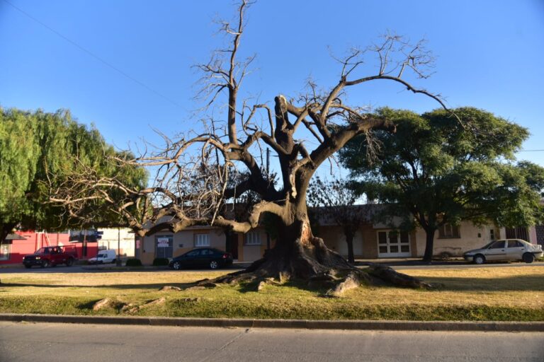 0cf312a9-6509-4b9b-a76f-12ad6e09c506