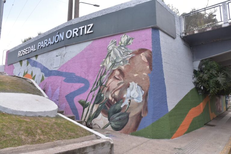 WhatsApp Image 2022-06-19 at 11.12