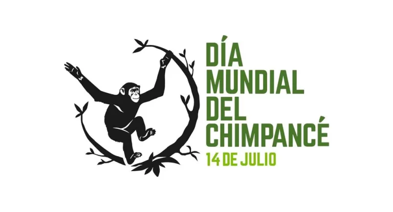 4KVB724Y2ZDBNGIJGGM36WWBJU