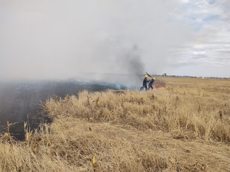 IMG_20220806_125516586