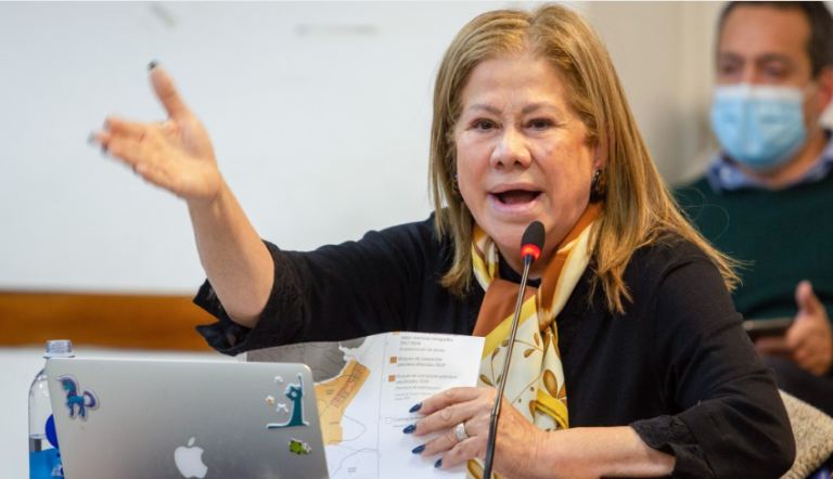 graciela camaño