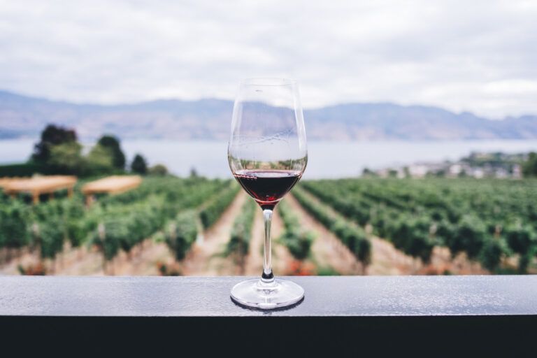 vino2