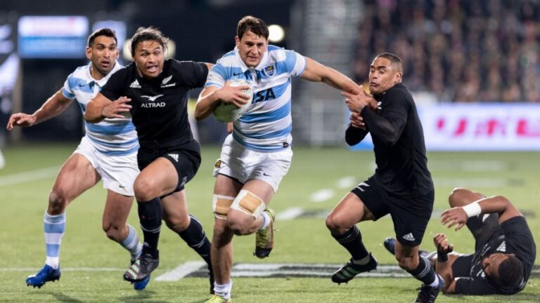 los-pumas-1410220