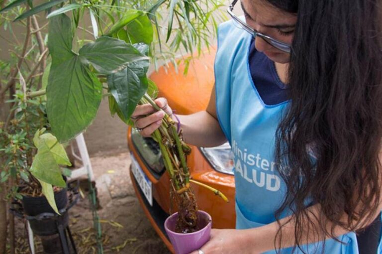 multimedia.normal.acf7a6e1e8d842b2