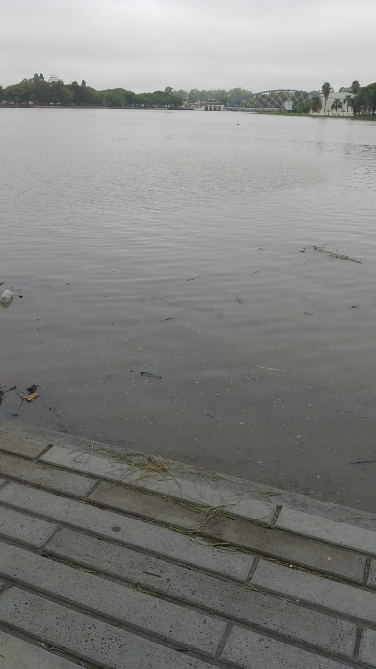 WhatsApp Image 2023-03-25 at 11.00