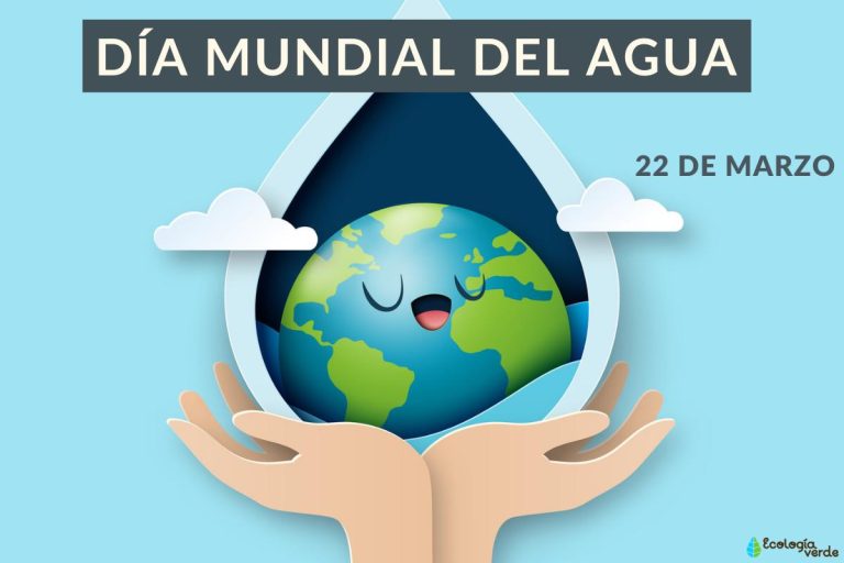 dia_mundial_del_agua_cuando_es_y_por_que_se_celebra_4344_orig