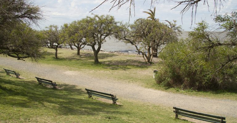 naturalfreetour-1000x520