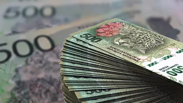 pesos-telamjpg