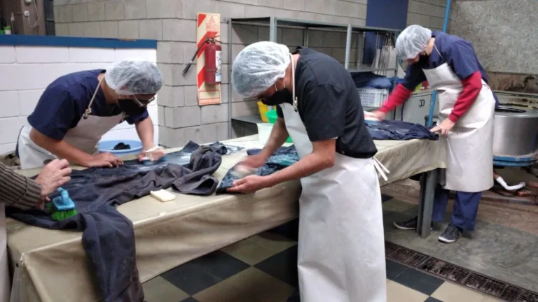 whatsapp-image-2021-05-31-at-012708jpeg