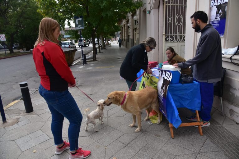 Campaña de Vacunación Antirrábica