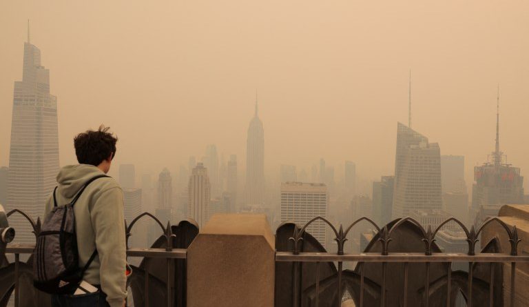 HUMO-768x445