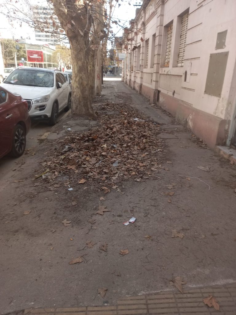 WhatsApp Image 2023-07-31 at 12.07