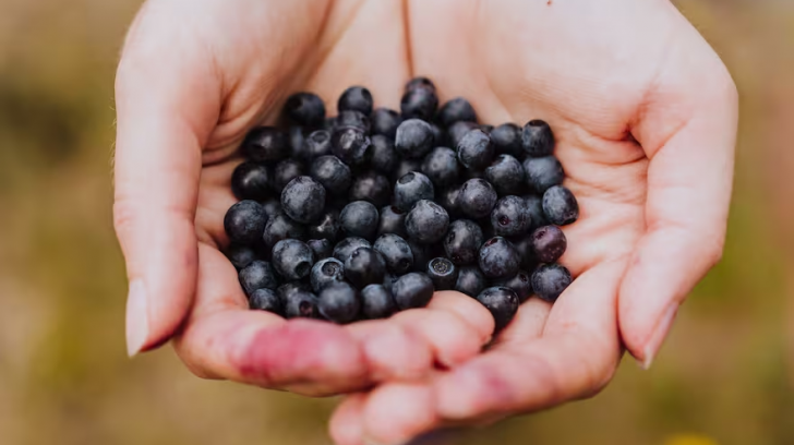 acai