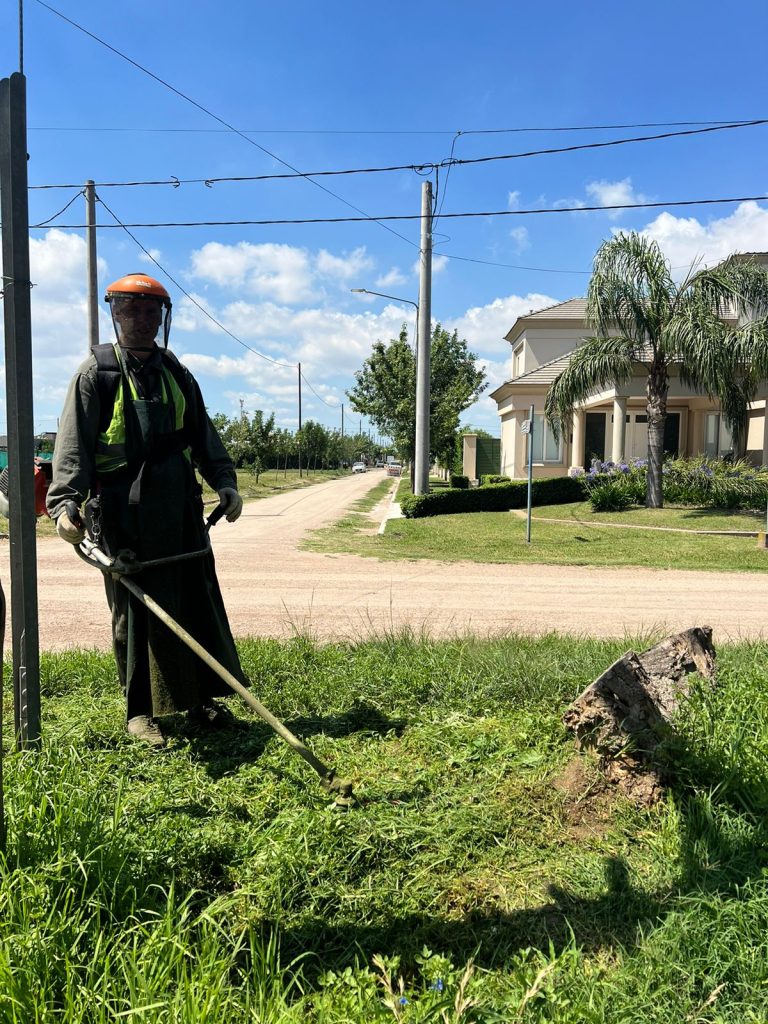 WhatsApp Image 2024-01-03 at 11.54