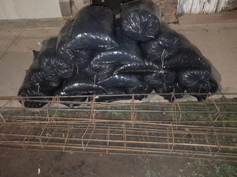 WhatsApp Image 2024-01-30 at 09.29