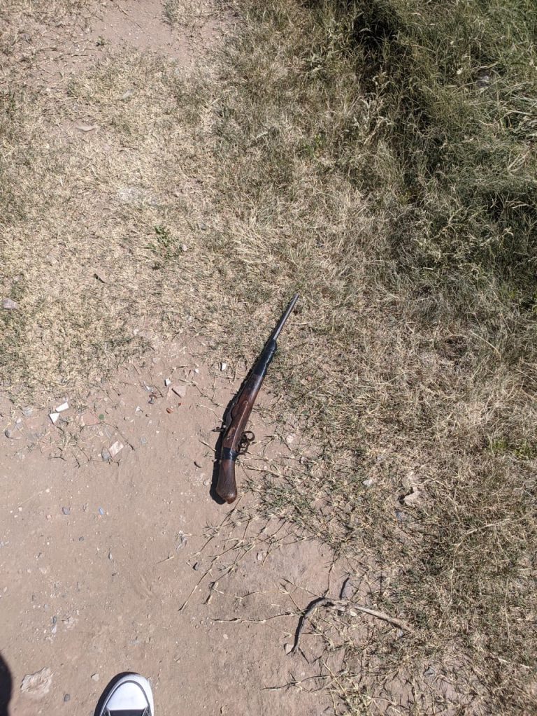 WhatsApp Image 2024-01-31 at 01.00