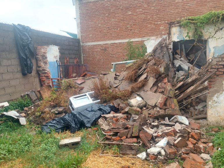 WhatsApp Image 2024-02-14 at 10.16