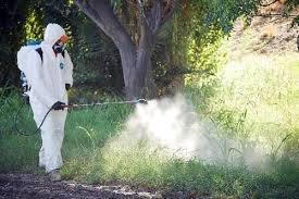 fumigar