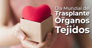 EFEMÉRIDES | 14 de Octubre: Día Internacional de la Donación de Órganos