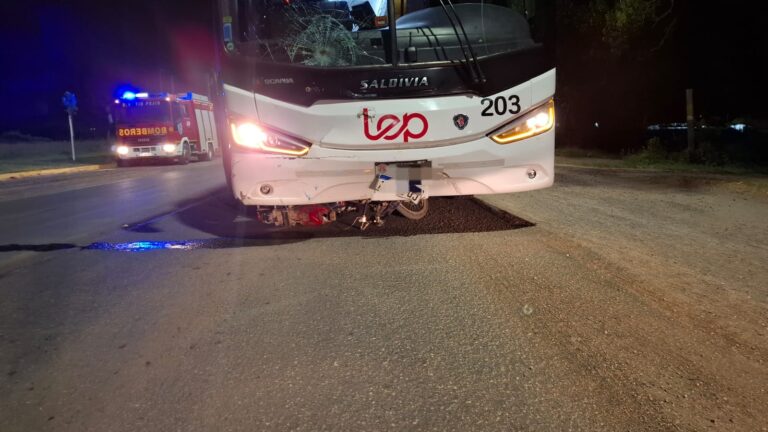 Imagen de WhatsApp 2025-02-12 a las 14.57