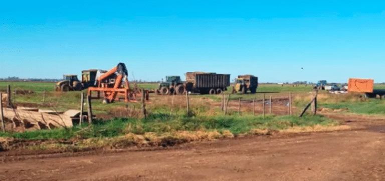 Captura de pantalla 2025-04-29 075049