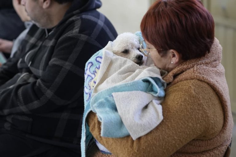 Imagen de WhatsApp 2025-08-25 a las 11.26