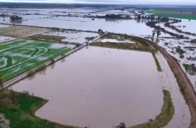 Captura de pantalla 2025-09-01 093123