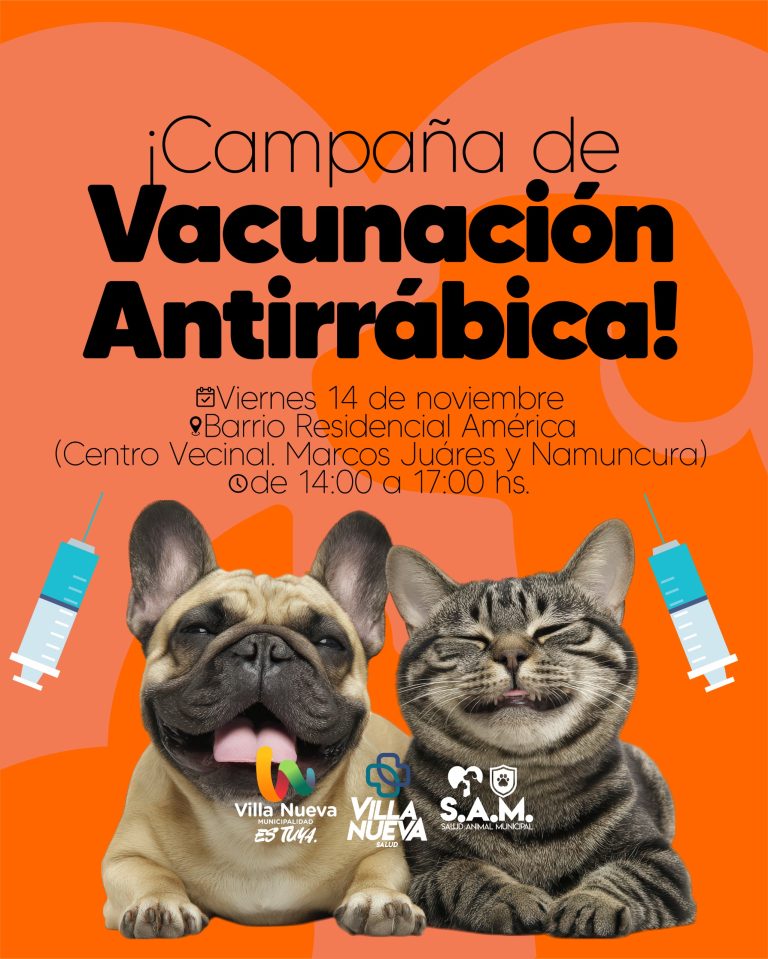 Imagen de WhatsApp 2025-11-13 a las 18.32